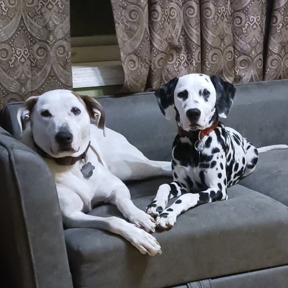 Meet your Posher, Ruth - Picture 12 of 13